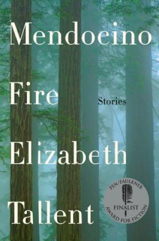 Buch Mendocino Fire Elizabeth Tallent