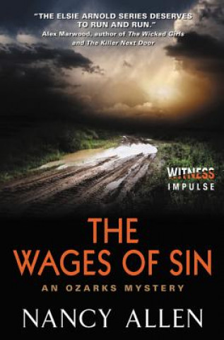 Könyv Wages of Sin Nancy Allen