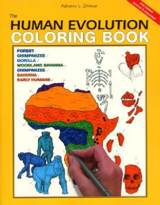 Carte The Human Evolution Coloring Book Adrienne L. Zihlman