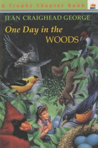Kniha One Day in the Woods Jean Craighead George