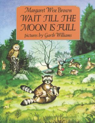 Kniha Wait Till the Moon Is Full Margaret Wise Brown