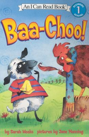 Kniha Baa-choo! Sarah Weeks