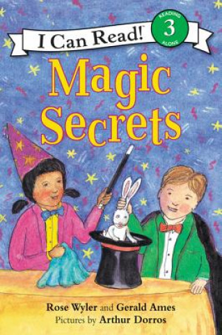 Buch Magic Secrets Rose Wyler