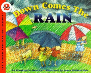 Kniha Down Comes the Rain Franklyn Mansfield Branley