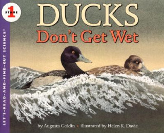 Könyv Ducks Don't Get Wet Augusta Goldin