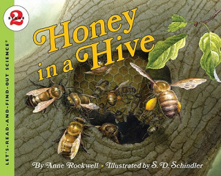 Livre Honey in a Hive Anne F. Rockwell