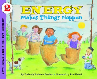 Kniha Energy Makes Things Happen Kimberly Brubaker Bradley