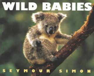 Kniha Wild Babies Seymour Simon