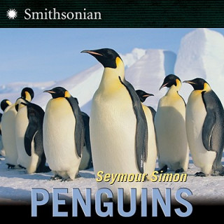 Carte Penguins Seymour Simon