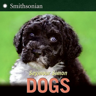 Könyv Dogs Seymour Simon