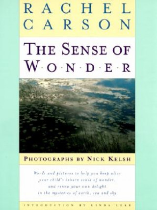 Kniha The Sense of Wonder Rachel Carson