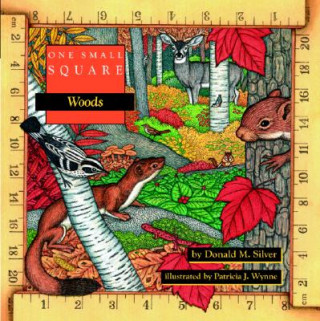 Carte One Small Square: Woods Donald M. Silver