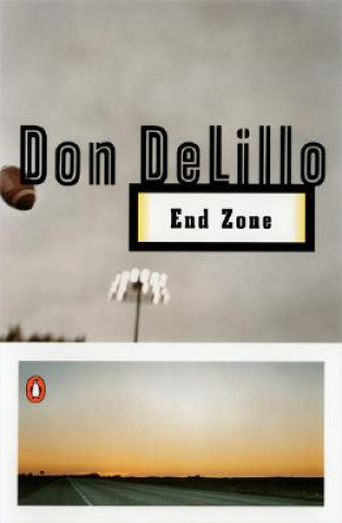 Книга End Zone Don DeLillo