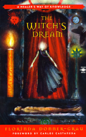 Книга The Witch's Dream Florinda Donner-Grau