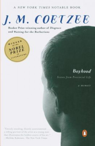 Boek Boyhood J M Coetzee
