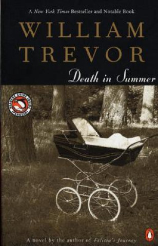 Kniha Death in Summer William Trevor