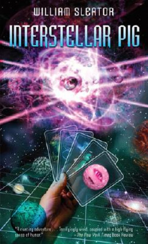 Carte Interstellar Pig William Sleator