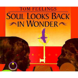 Buch Soul Looks Back in Wonder Tom Feelings