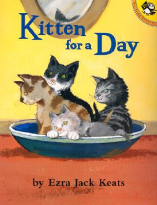 Könyv Kitten for a Day Ezra Jack Keats