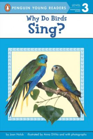 Kniha Why Do Birds Sing? Joan Holub