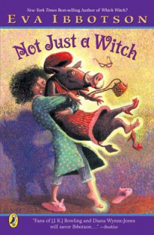 Buch Not Just a Witch Eva Ibbotson