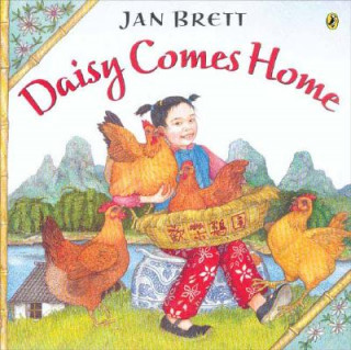 Książka Daisy Comes Home Jan Brett