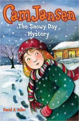 Könyv The Snowy Day Mystery David A. Adler