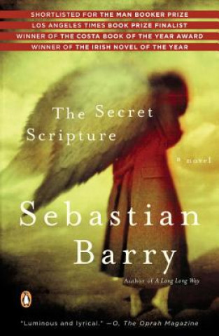 Kniha The Secret Scripture Barry Sebastian