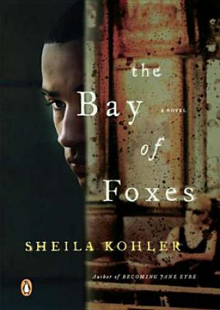 Könyv The Bay of Foxes Sheila Kohler