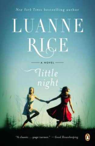 Książka Little Night Luanne Rice