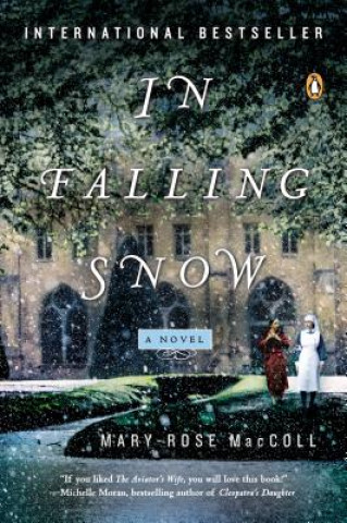 Buch In Falling Snow Mary-Rose MacColl