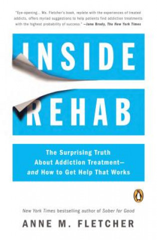 Buch Inside Rehab Anne M. Fletcher