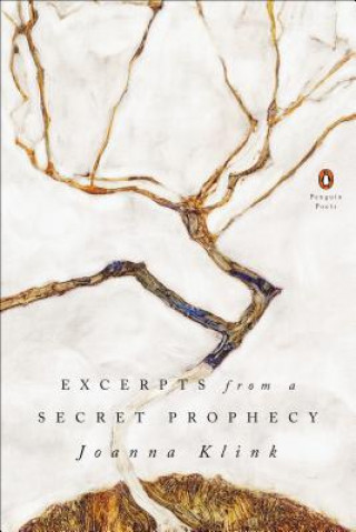 Kniha Excerpts from a Secret Prophecy Joanna Klink