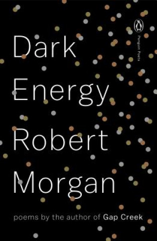 Könyv Dark Energy Robert Morgan