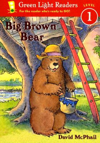 Carte Big Brown Bear David McPhail