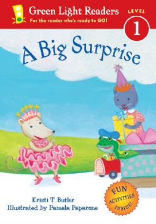 Książka Big Surprise Kristi T. Butler