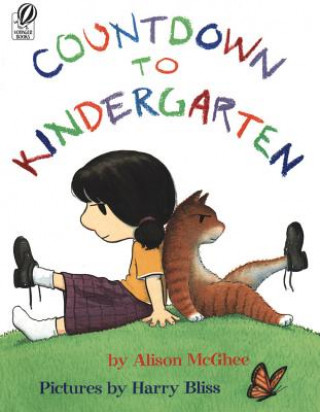 Kniha Countdown to Kindergarten Alison McGhee