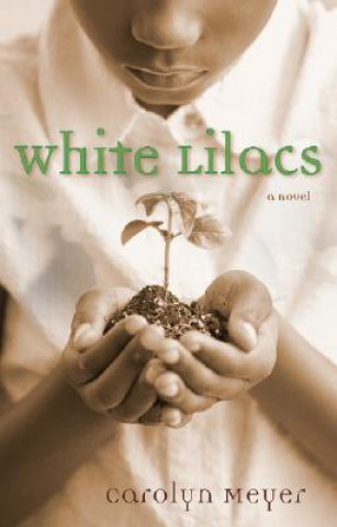 Carte White Lilacs Carolyn Meyer