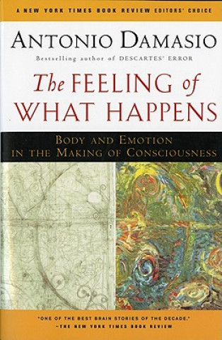 Kniha Feeling of What Happens Antonio R. Damasio