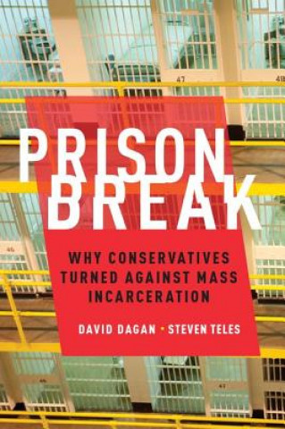 Kniha Prison Break David Dagan