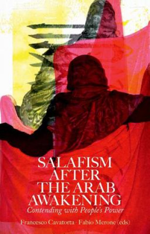 Kniha Salafism After the Arab Awakening Francesco Cavatorta