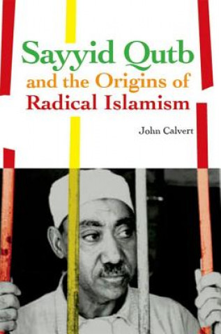 Livre Sayyid Qutb and the Origins of Radical Islamism John Calvert