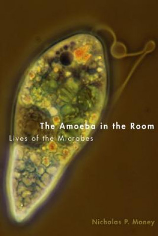 Libro The Amoeba in the Room Nicholas P. Money