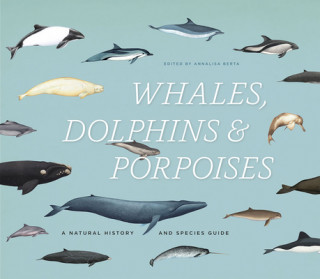 Kniha Whales, Dolphins, & Porpoises Annalisa Berta