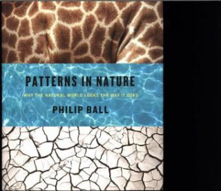 Kniha Patterns in Nature Philip Ball