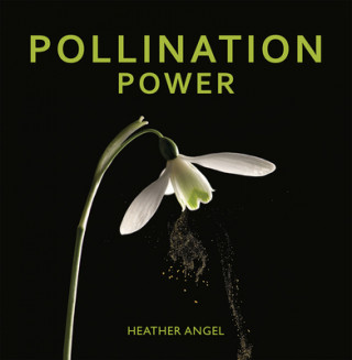 Książka Pollination Power Heather Angel