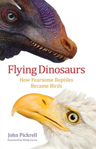 Buch Flying Dinosaurs John Pickrell