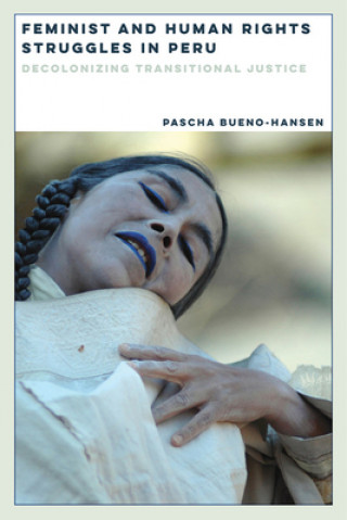 Libro Feminist and Human Rights Struggles in Peru Pascha Bueno-hansen