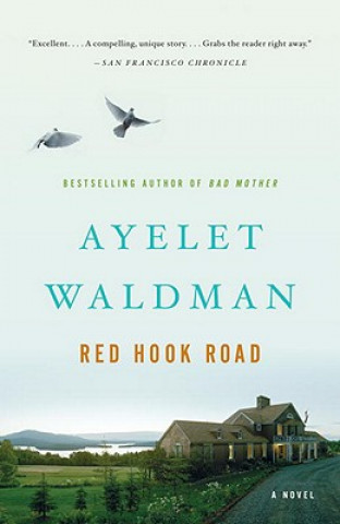 Buch Red Hook Road Ayelet Waldman