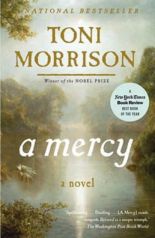 Könyv Mercy Toni Morrison